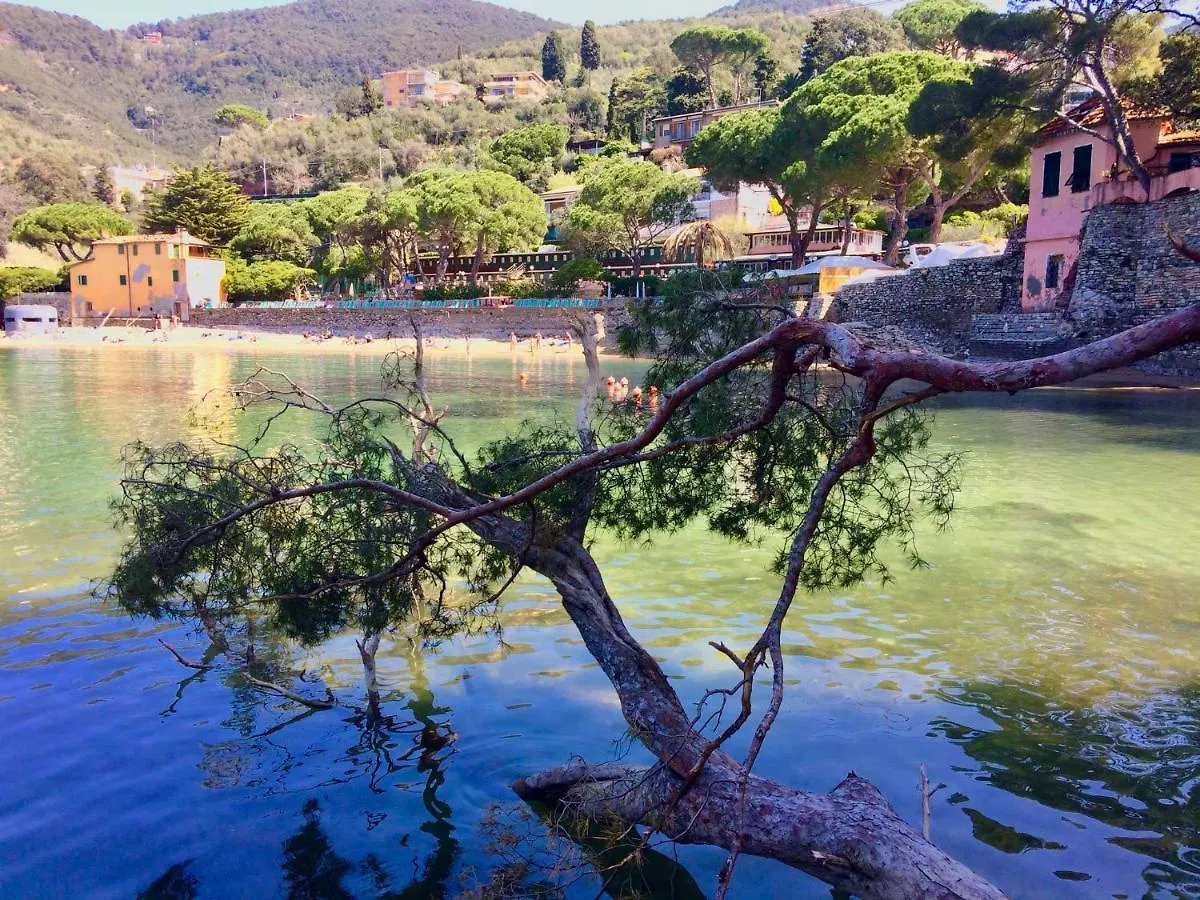 Il Ronchetto Apartment Tellaro